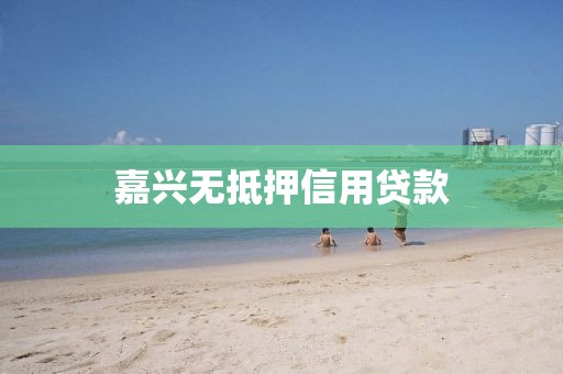 嘉兴无抵押信用贷款