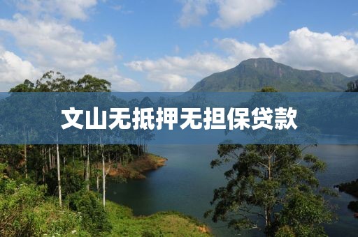 文山无抵押无担保贷款