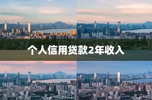 个人信用贷款2年收入