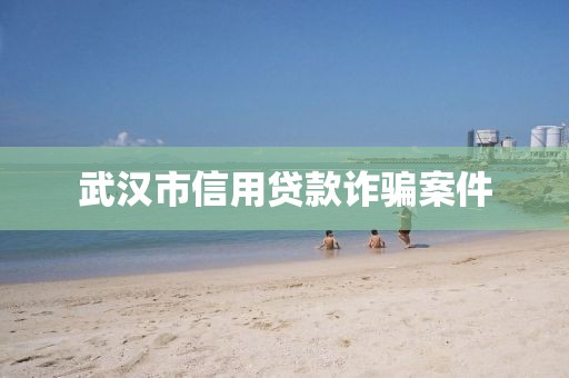 武汉市信用贷款诈骗案件