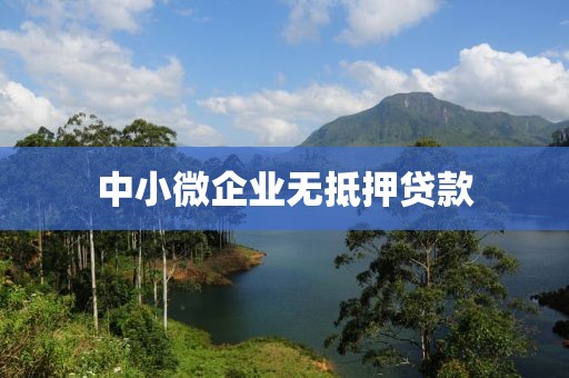 中小微企业无抵押贷款