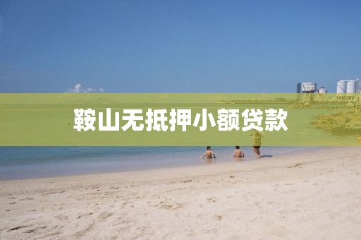鞍山无抵押小额贷款