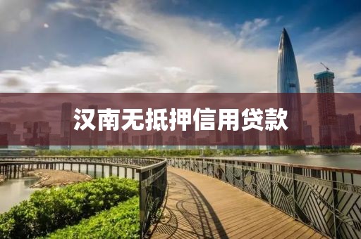 汉南无抵押信用贷款