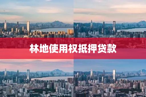 林地使用权抵押贷款