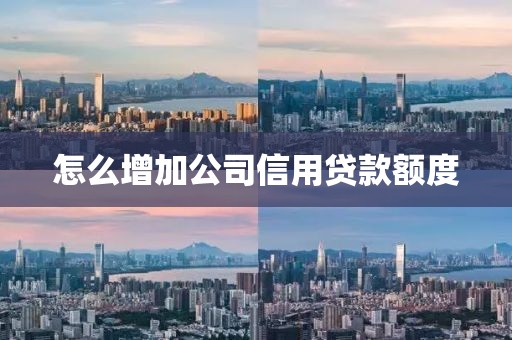 怎么增加公司信用贷款额度