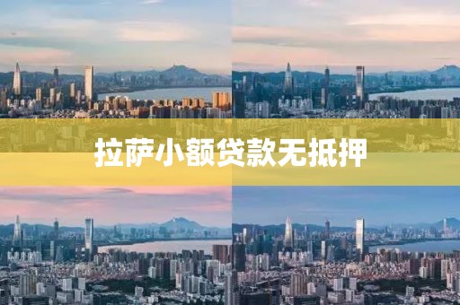 拉萨小额贷款无抵押