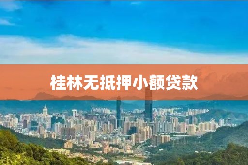 桂林无抵押小额贷款