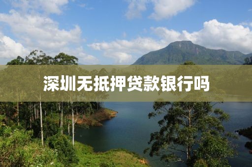 深圳无抵押贷款银行吗