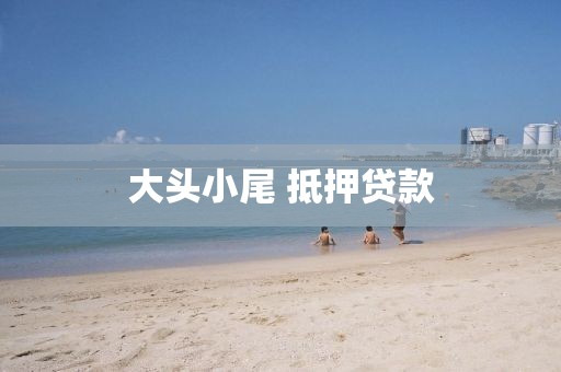 大头小尾 抵押贷款