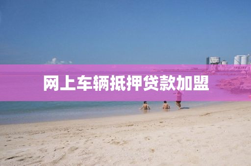 网上车辆抵押贷款加盟