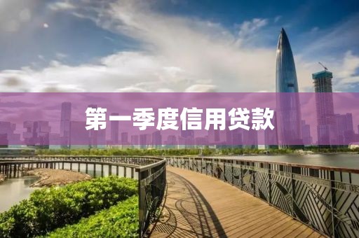 第一季度信用贷款