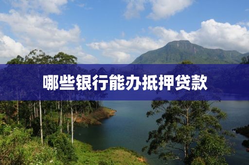 哪些银行能办抵押贷款
