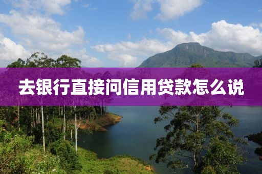 去银行直接问信用贷款怎么说