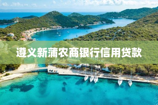 遵义新蒲农商银行信用贷款