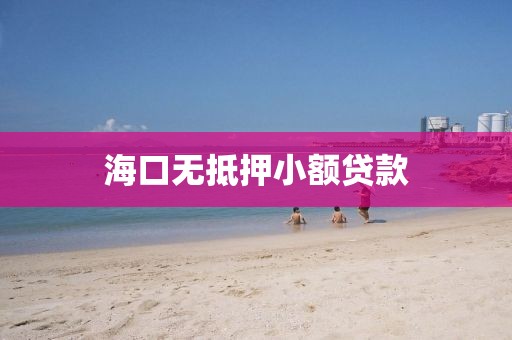 海口无抵押小额贷款
