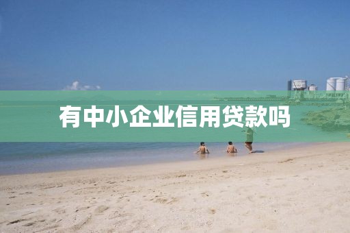 有中小企业信用贷款吗
