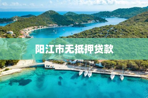 阳江市无抵押贷款