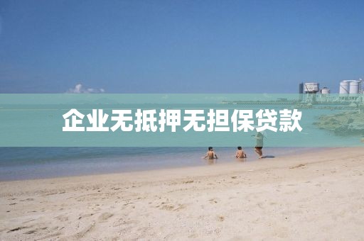 企业无抵押无担保贷款