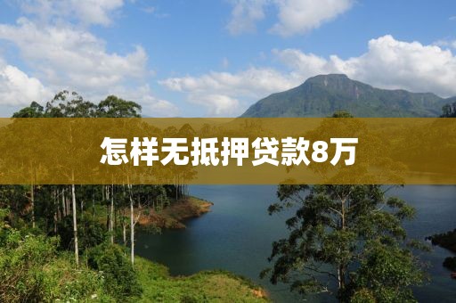 怎样无抵押贷款8万