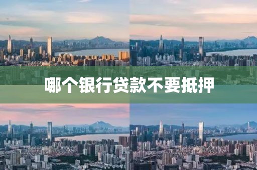 哪个银行贷款不要抵押