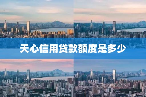 天心信用贷款额度是多少