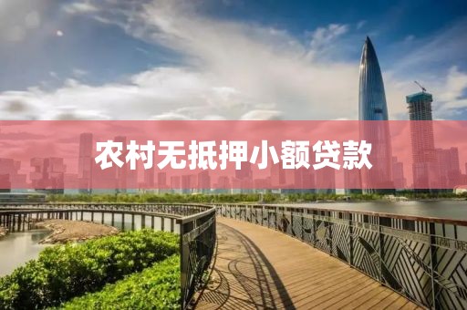 农村无抵押小额贷款