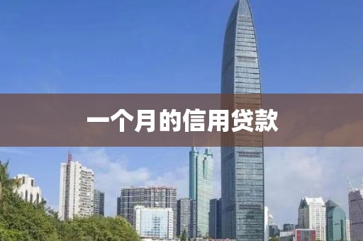 一个月的信用贷款