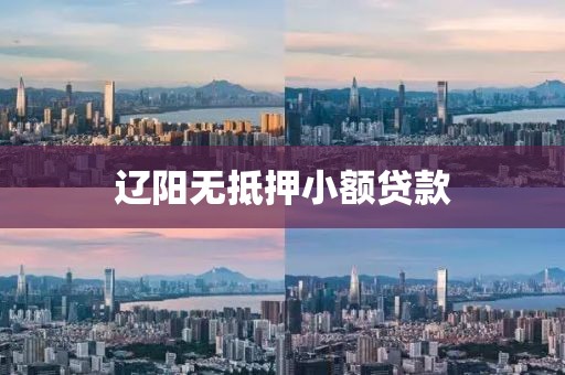 辽阳无抵押小额贷款