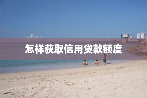 怎样获取信用贷款额度