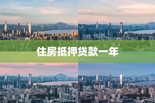 住房抵押贷款一年