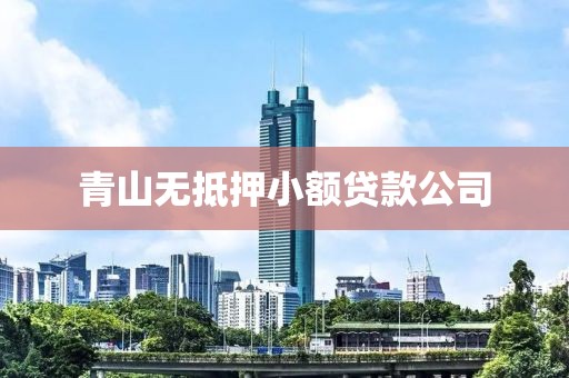 青山无抵押小额贷款公司