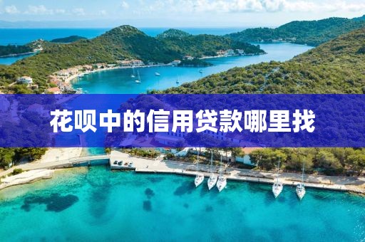 花呗中的信用贷款哪里找