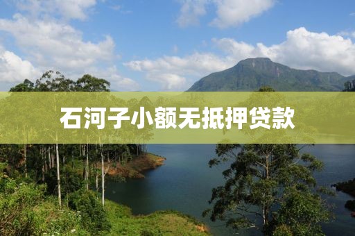 石河子小额无抵押贷款