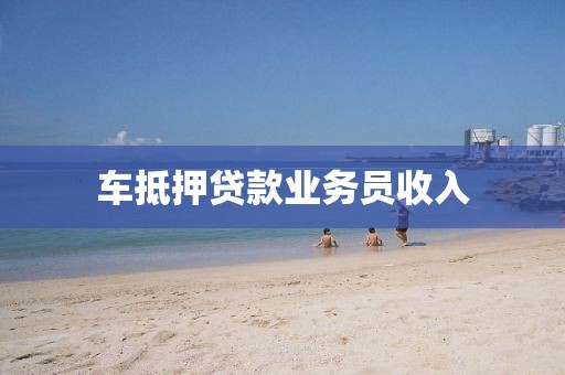 车抵押贷款业务员收入