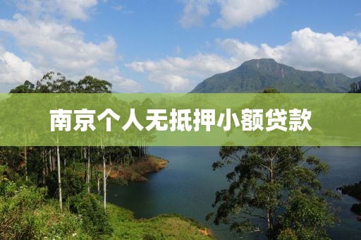 南京个人无抵押小额贷款