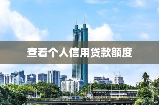 查看个人信用贷款额度