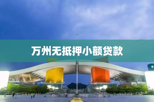 万州无抵押小额贷款