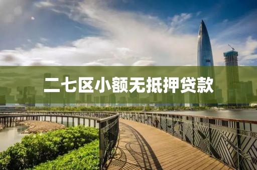 二七区小额无抵押贷款