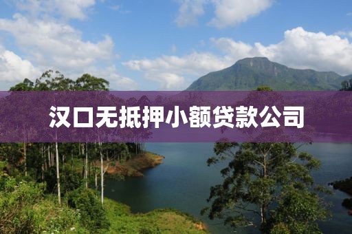汉口无抵押小额贷款公司