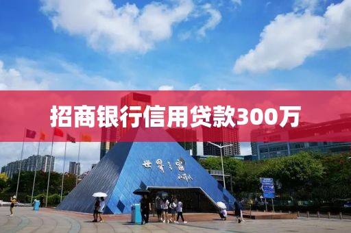 招商银行信用贷款300万