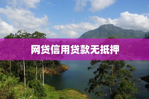 网贷信用贷款无抵押