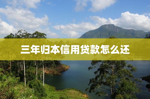 三年归本信用贷款怎么还
