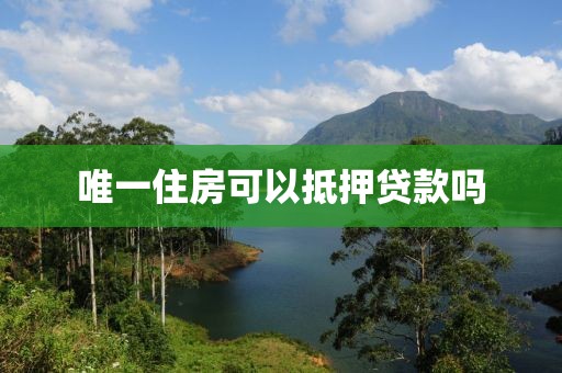 唯一住房可以抵押贷款吗