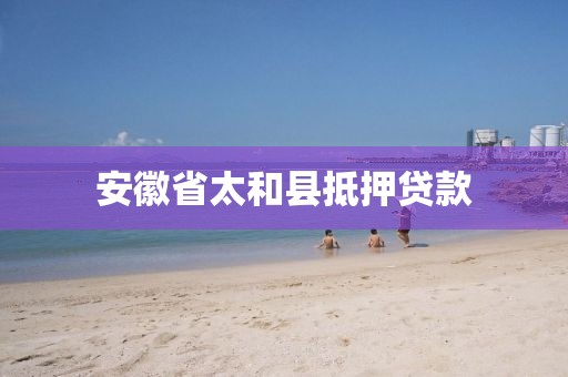 安徽省太和县抵押贷款