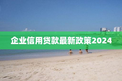 企业信用贷款最新政策2024