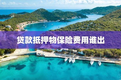 贷款抵押物保险费用谁出
