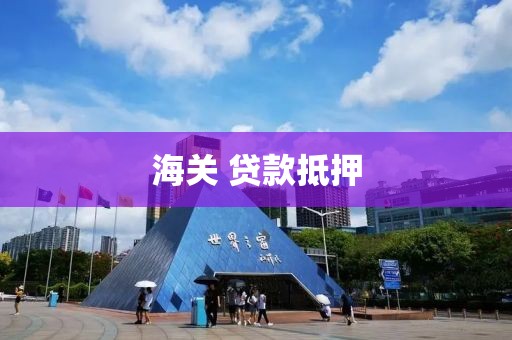 海关 贷款抵押