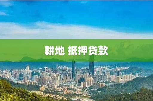 耕地 抵押贷款