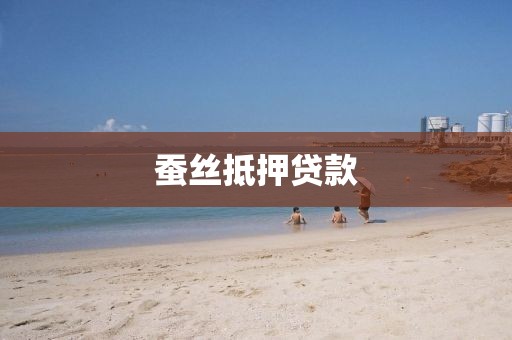 蚕丝抵押贷款