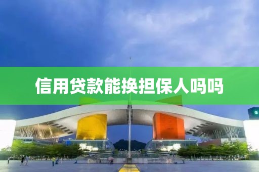 信用贷款能换担保人吗吗